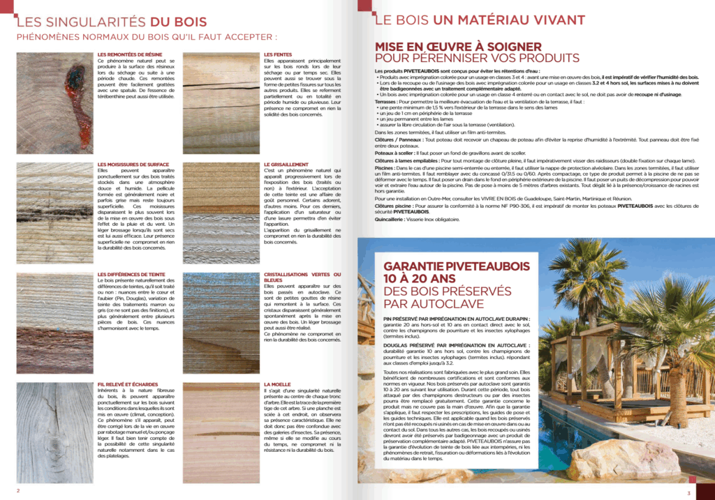 Les singularités du bois